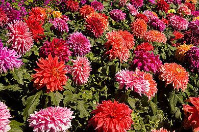 《尸体派对2：黑暗扭曲》宣布跳票 延期至2025年发售